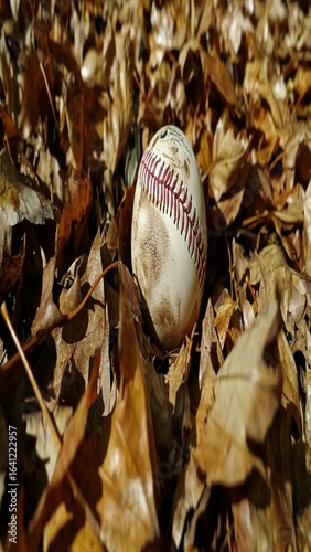 Autumn Baseball: Leaves and Game