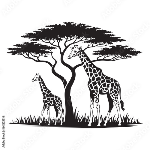 Giraffe Outline Design, Giraffa Clipart, An Acacia Arch Giraffe Illustration black and white