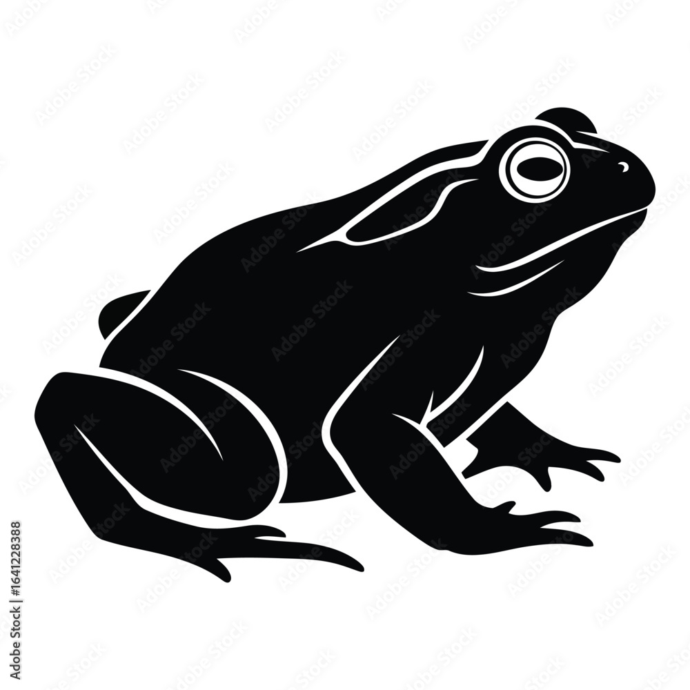 Fototapeta premium Vector art of frog isolated on white background