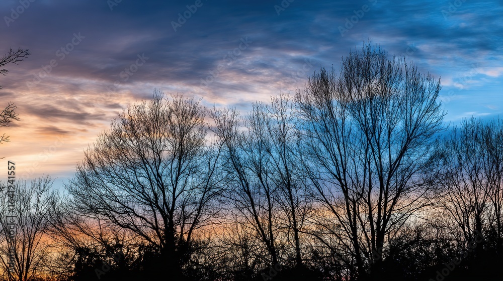 Fototapeta premium Cloudy Sky in Blue and Orange with Tree Silhouettes at Sunset – Indigo and Amber Clouds Blending, Dark Tree Outlines Stretching Against the Glowing Evening Horizon