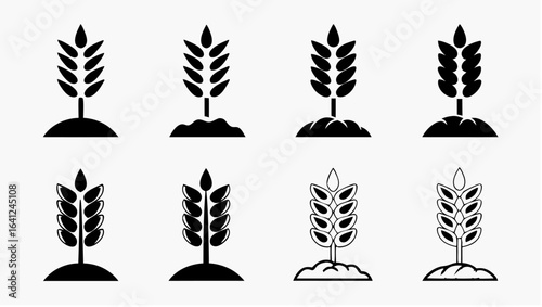 Illustration showcasing eight wheat stalks growing from soil in black and white minimalist design style |  editable eps vectors silhouette