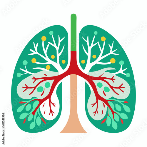 Detailed Lung Structure Anatomy Illustration