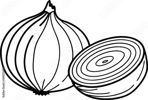 Whole onion and sliced half outline fresh vegetable, kitchen ingredient, food illustration for healthy cooking and nutrition concepts