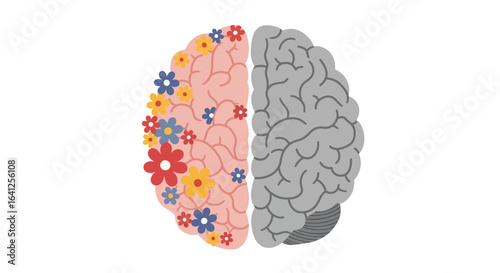 Brain Hemispheres: Blooming Creativity and Somber Logic
