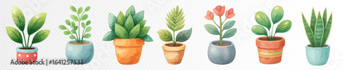 Set of potted plants in colorful pots, vector illustration, watercolor — Perfect for banners, posters, and web graphics.