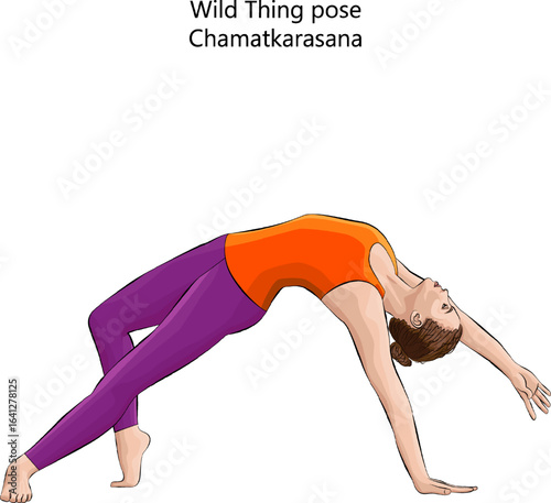 Young woman practicing Chamatkarasana yoga pose. Wild Thing yoga pose. Isolated vector illustration.