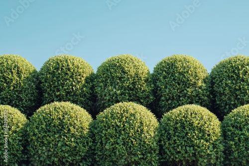 Decorative Topiary Shrubs Shaped Into Intricate Forms for Landscaping
