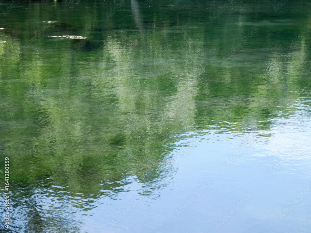 Fototapeta premium 湧き水で出来た透明度の高い沼