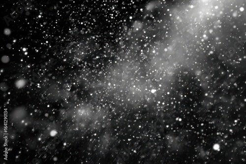 Black backdrop with numerous small, light-gray/white specks, suggesting falling snow