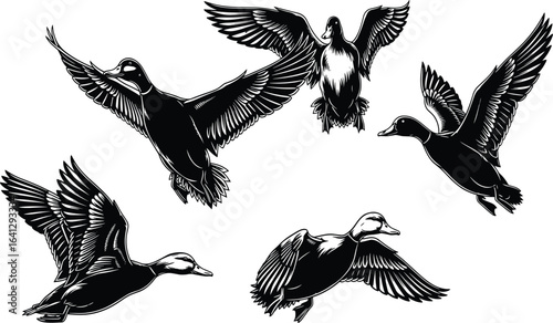 Flying ducks illustration, black and white artwork, bird motion, graceful flight, duck wings spread, wildlife drawing, feather detail, nature sketch