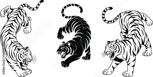 Tiger tattoo design, roaring tiger illustration, black and white tiger art, aggressive tiger drawing, fierce wild cat artwork, traditional Japanese tiger style, vector graphic