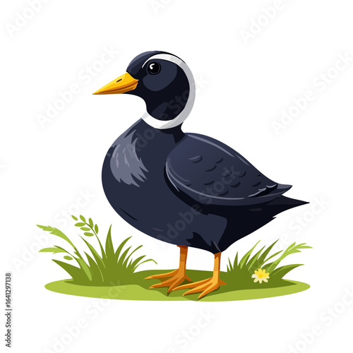 Cartoon black duck standing on grass illustration waterfowl bird wildlife animal