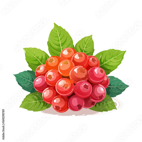 Vibrant Cranberries with Green Leaves, Natural Food illustration in Cartoon Style