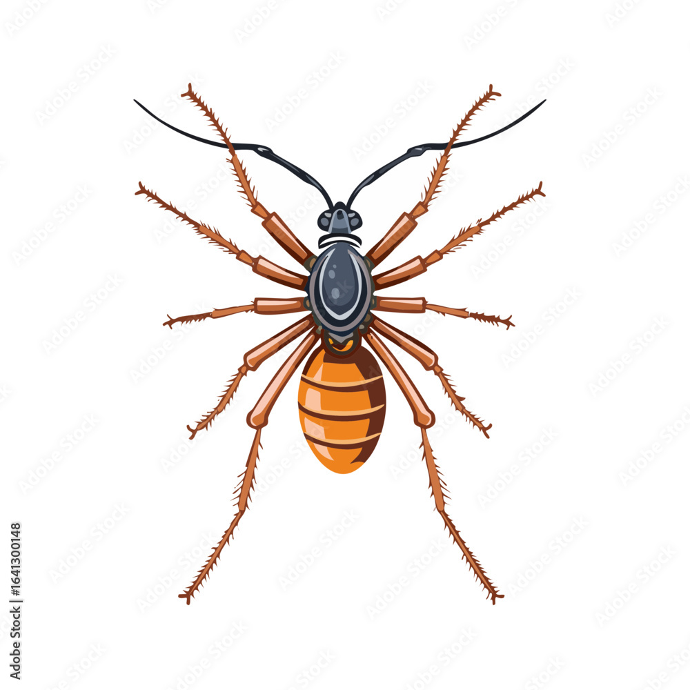 Obraz premium Winged insect with many legs graphic vector illustration on black backdrop detailed anatomical art
