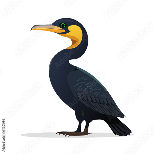 Isolated Cormorant Illustration with Black Feathers and a Yellow Neck Profile View