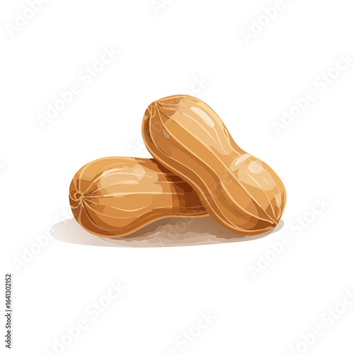Two Shelled Peanuts Together Still Life Illustration Brown Peanut Skins Snacks Ingredients