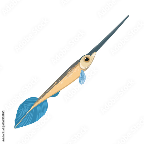 Cartoon needlefish illustration on black background with blue fin and long pointed snout aquarium wildlife