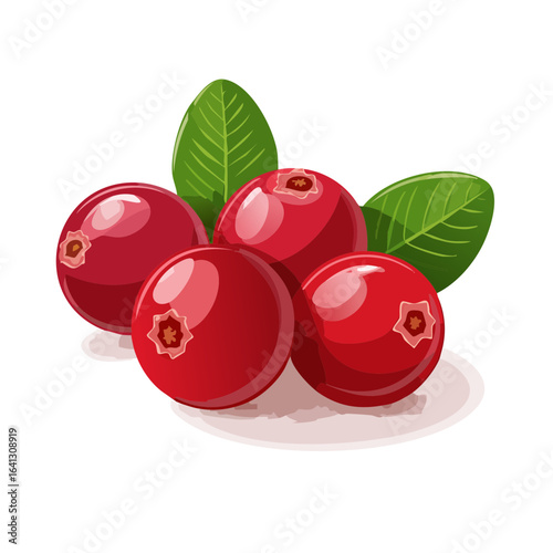 Pile of cranberries with leaves in vector illustration on black background