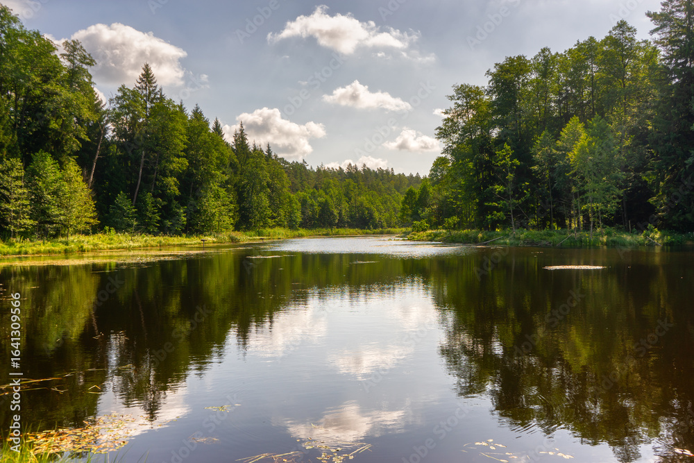 Obraz premium Zbiornik wodny na Świnobródce w Puszczy Knyszyńskiej, Podlasie, Polska