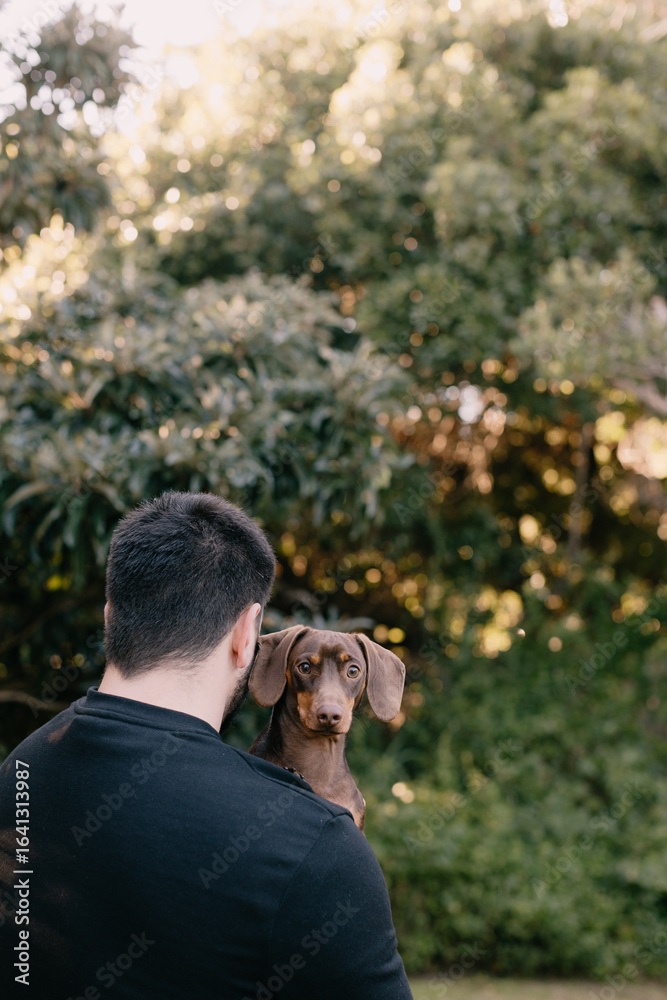 Fototapeta premium Man with black hair and wearing black holding and cuddling a brown dachshund. Love your pet, dog, companion