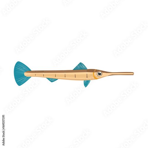 Illustration of a needlefish with a long snout and blue fins against a black backdrop for use in educational materials