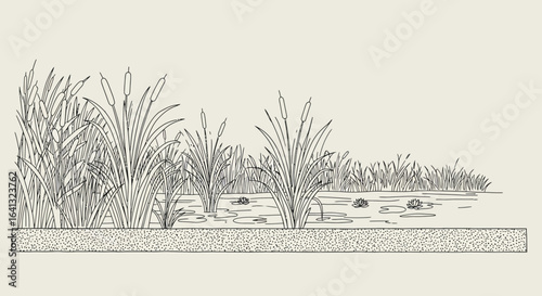 Elegant line drawing of a serene pond landscape featuring cattails and water lilies