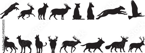 Collection of wildlife animal silhouettes in various poses and actions