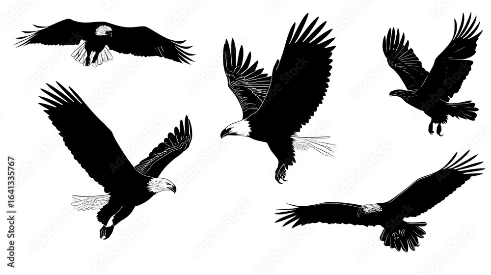 Obraz premium Vector black silhouette of a flying eagle in different poses on a white background