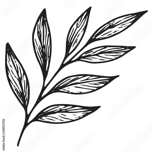 Hand-Drawn Leafy Branch Illustration for Botanical Designs and Decor