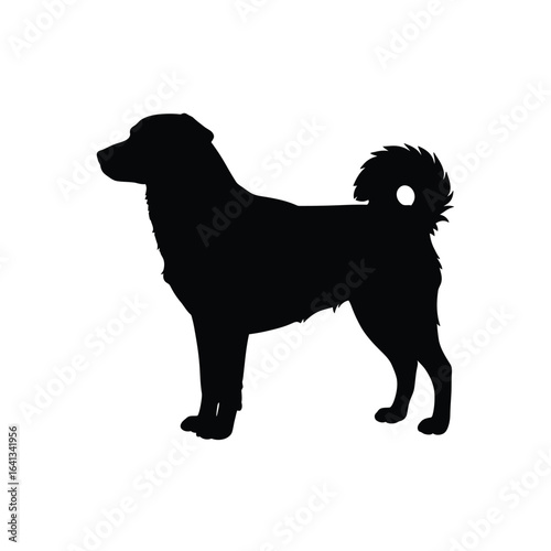 Black dog silhouette standing alert with a curled tail, isolated on white background, symbolizing loyalty and companionship
