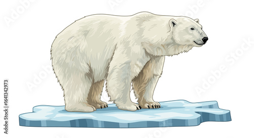 A white polar bear stands on an ice floe viewed from the side