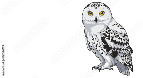 White owl with yellow eyes black spots facing forward