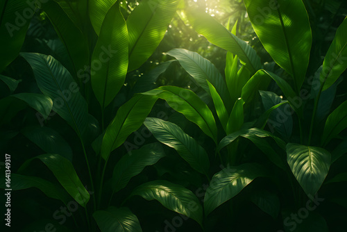 Lush Foliage with Sunlight: A vibrant display of dense green leaves basks in the warm glow of sunlight, creating a mesmerizing play of light and shadow.
