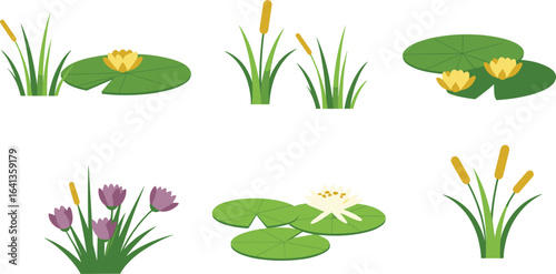 Aquatic plant illustration, cartoon lily pads, blooming water flowers, green reeds, marsh vegetation, pond flora, flat design vector, lake
