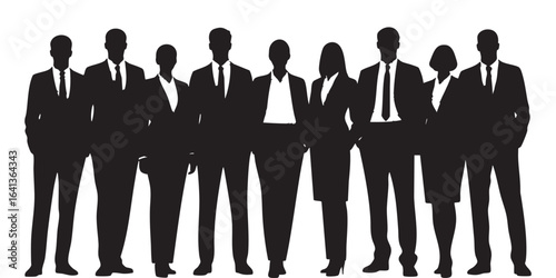 Silhouette of Diverse Business Team Standing Together