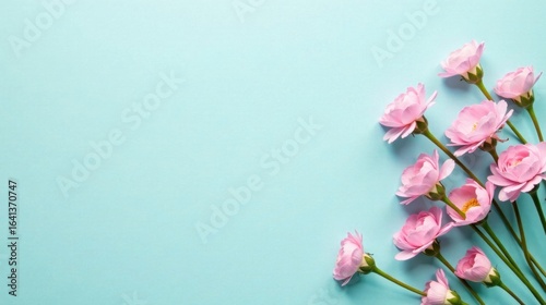 Delicate Pink Blooms Arranged on a Light Blue Background, Creating a Serene and Elegant Floral Composition Perfect for Invitations, Greeting Cards, or Other Design Projects