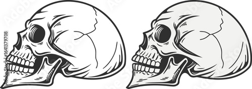 Side View Skull Icon