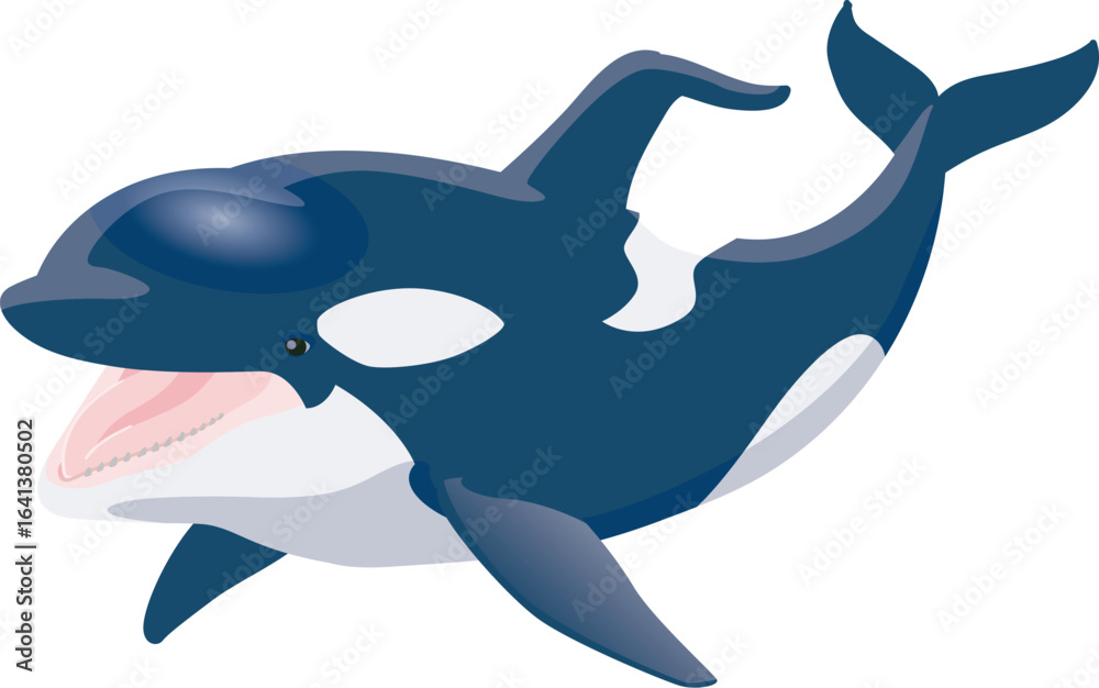 Obraz premium シャチ