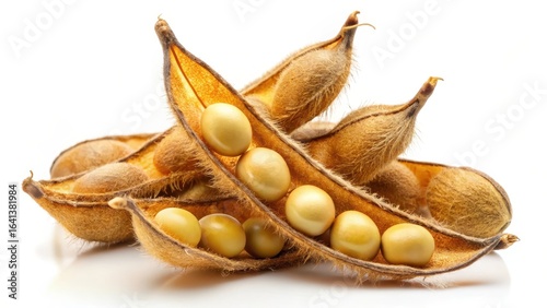 Wallpaper Mural Soybeans pods with mature seeds isolated on white background Torontodigital.ca