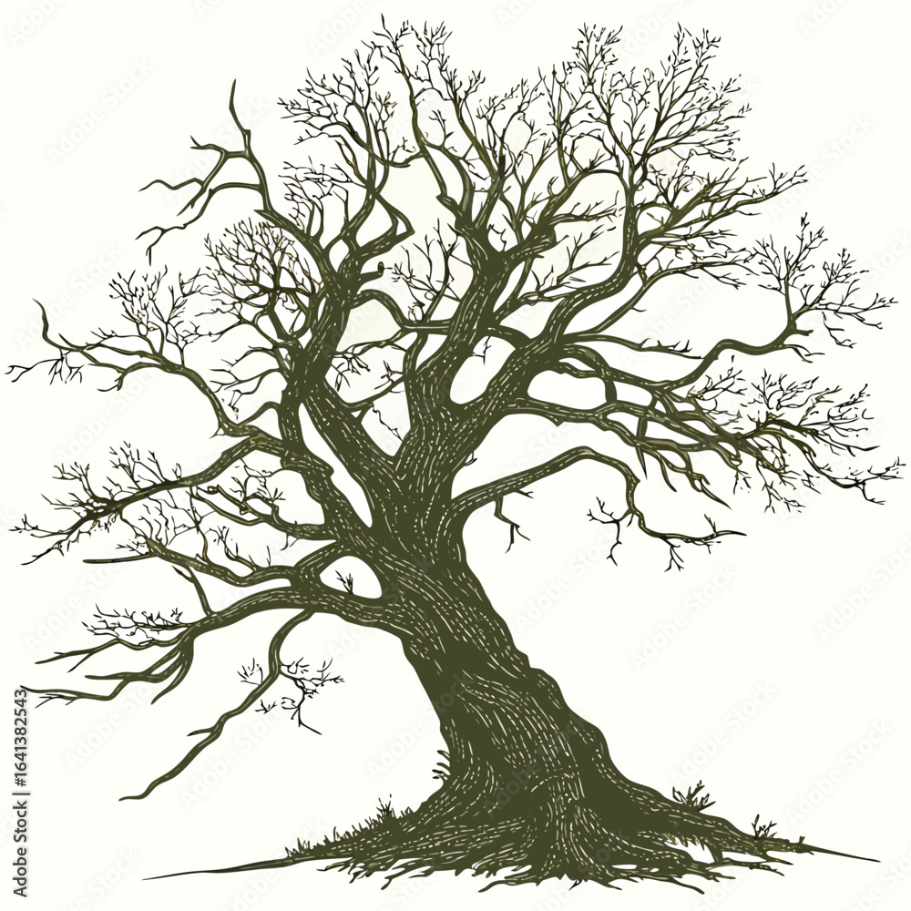 Fototapeta premium silhouette of a tree