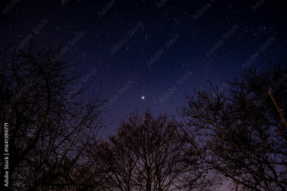 Fototapeta premium Aufgenommen in Freier Natur in Helmstedt