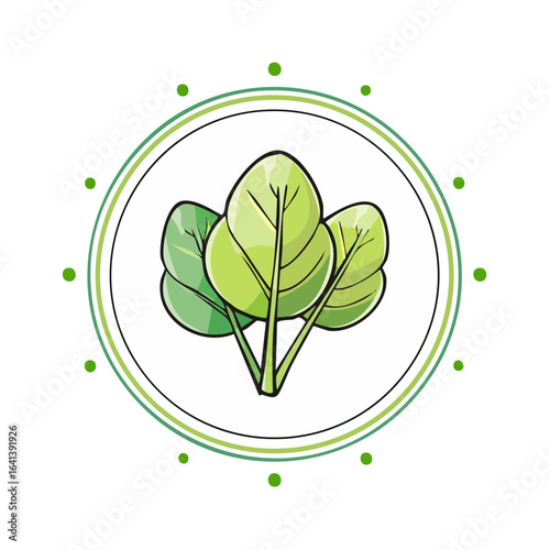 Stylized spinach illustration with circular border and decorative dots offers fresh aesthetic
