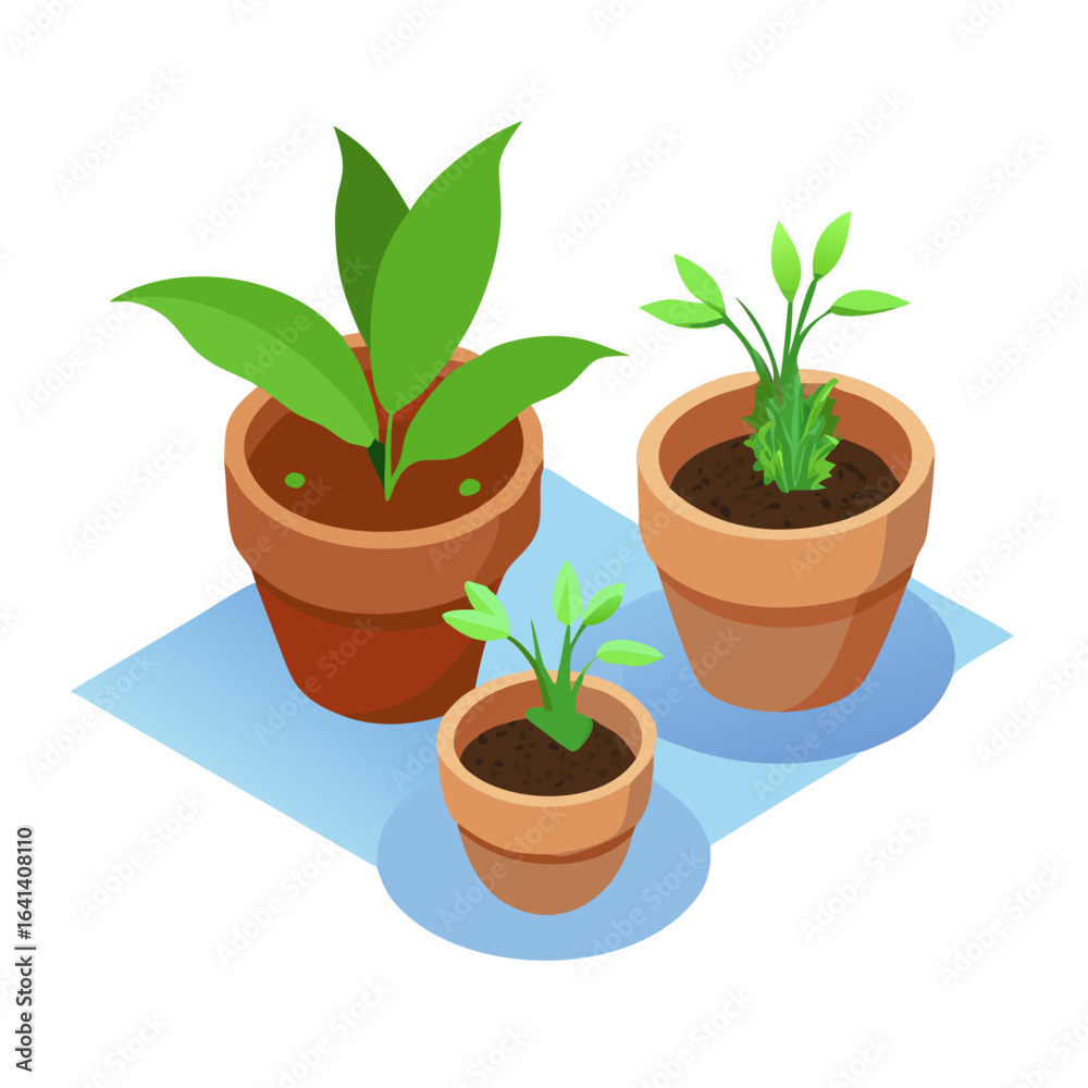 Fototapeta premium 3D Rendering Of Plants In Clay Pots Cut Out Backgrounds