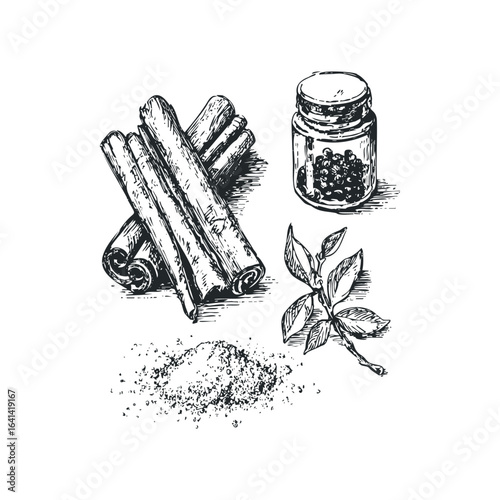 Sketch of Cinnamon Sticks, Peppercorns in a Jar, and Spice Leaves