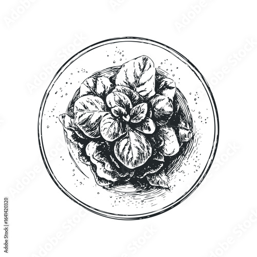 Top view linocut sketch of fresh spinach leaves on a plate