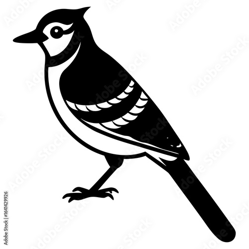 bird on a white background