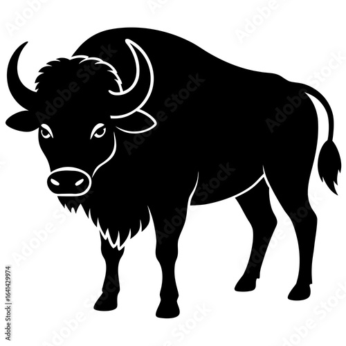 black and white cow
