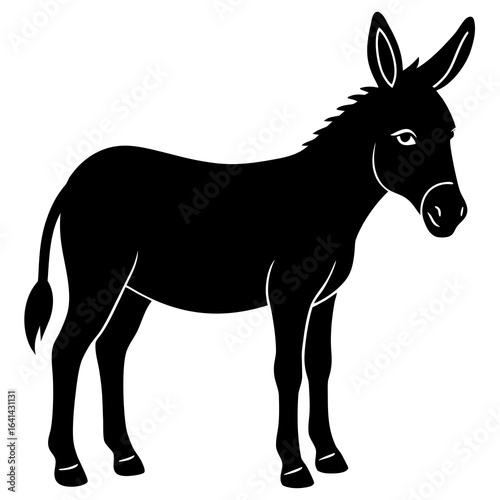 donkey cartoon illustration