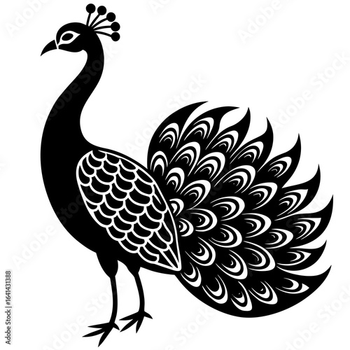 peacock vector illustration