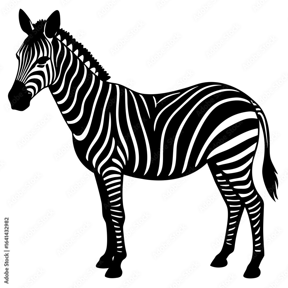 Obraz premium zebra isolated on white